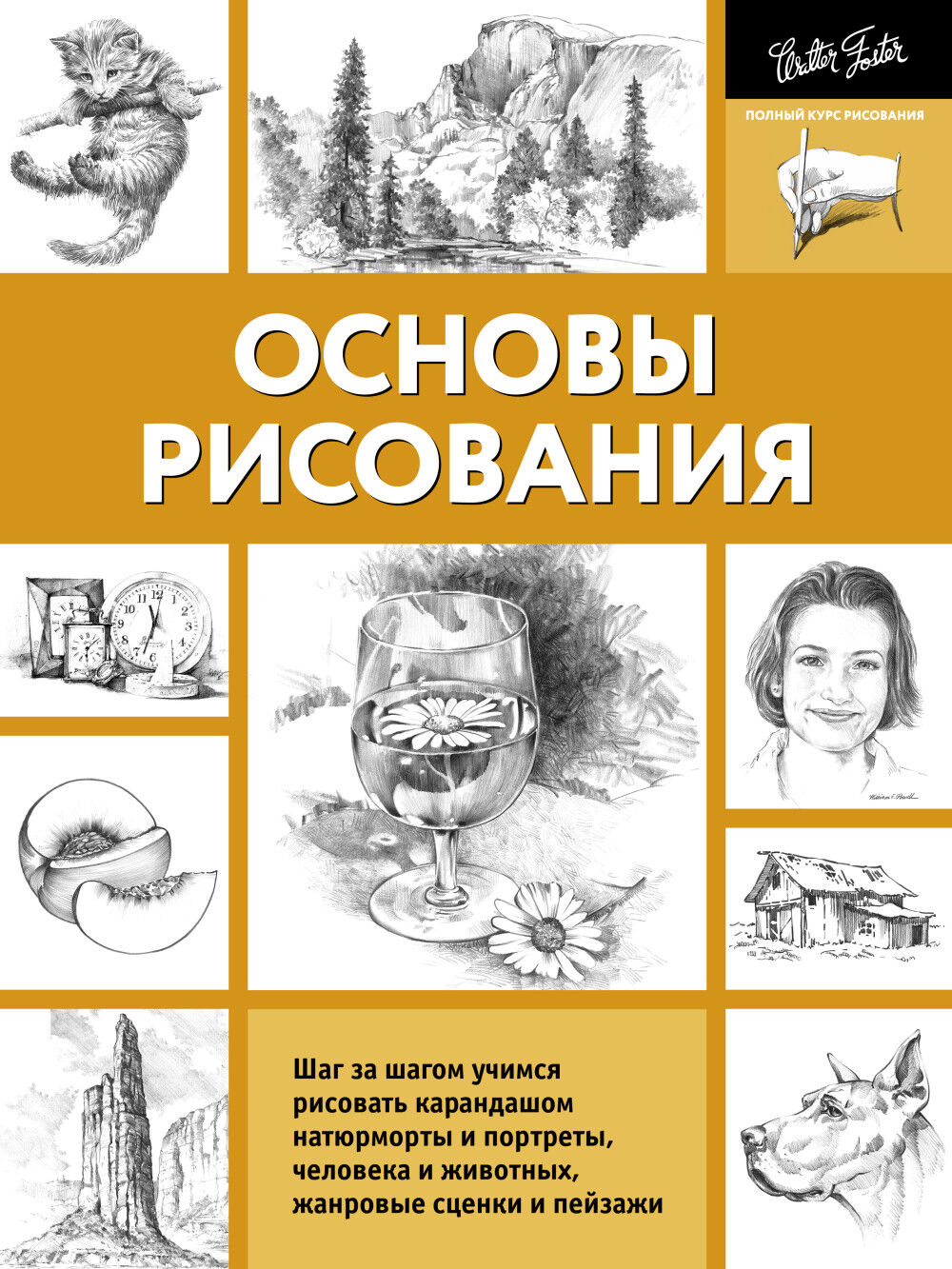 Обложка книги Основы рисования