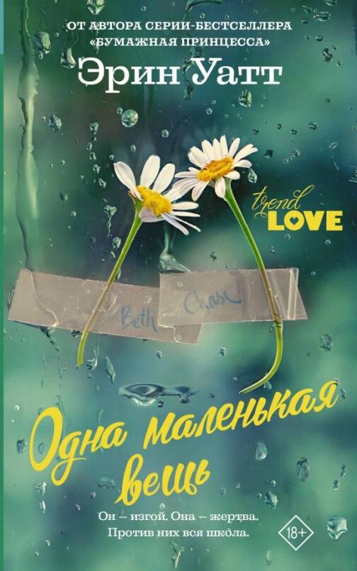 Обложка книги Одна маленькая вещь