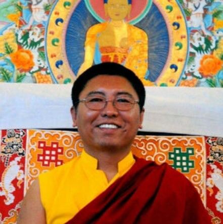 Обложка книги Цокньи Ринпоче