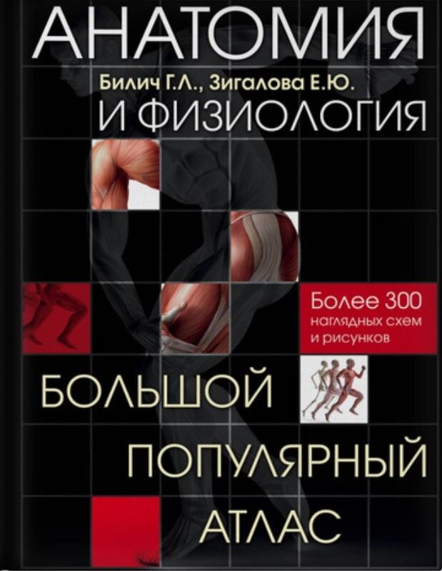 Обложка книги Елена Юрьевна Зигалова